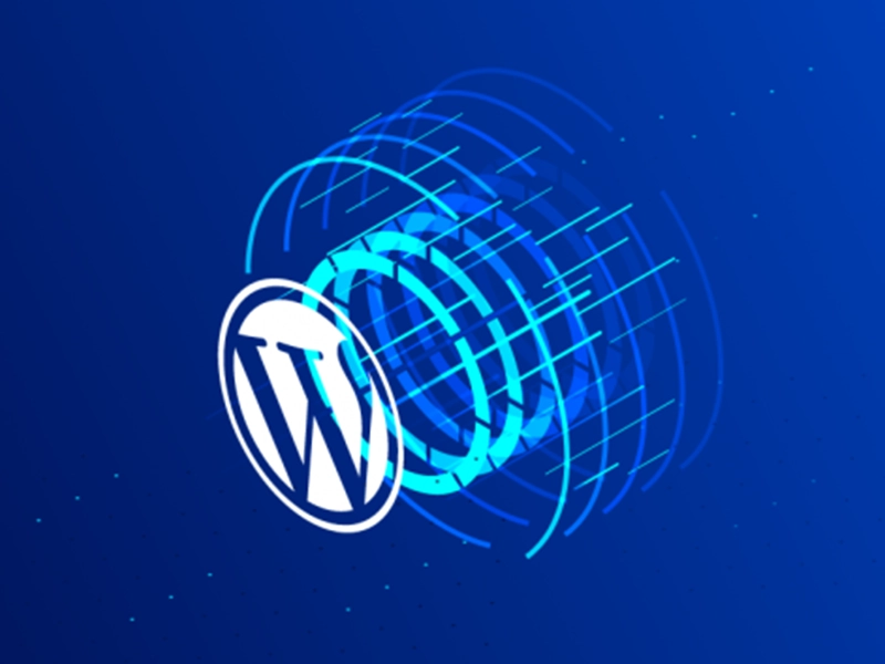 Wordpress Hosting Nedir hostizm